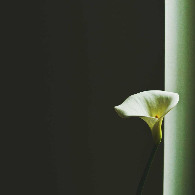 Cổ điển Trò chơi bàn cờ