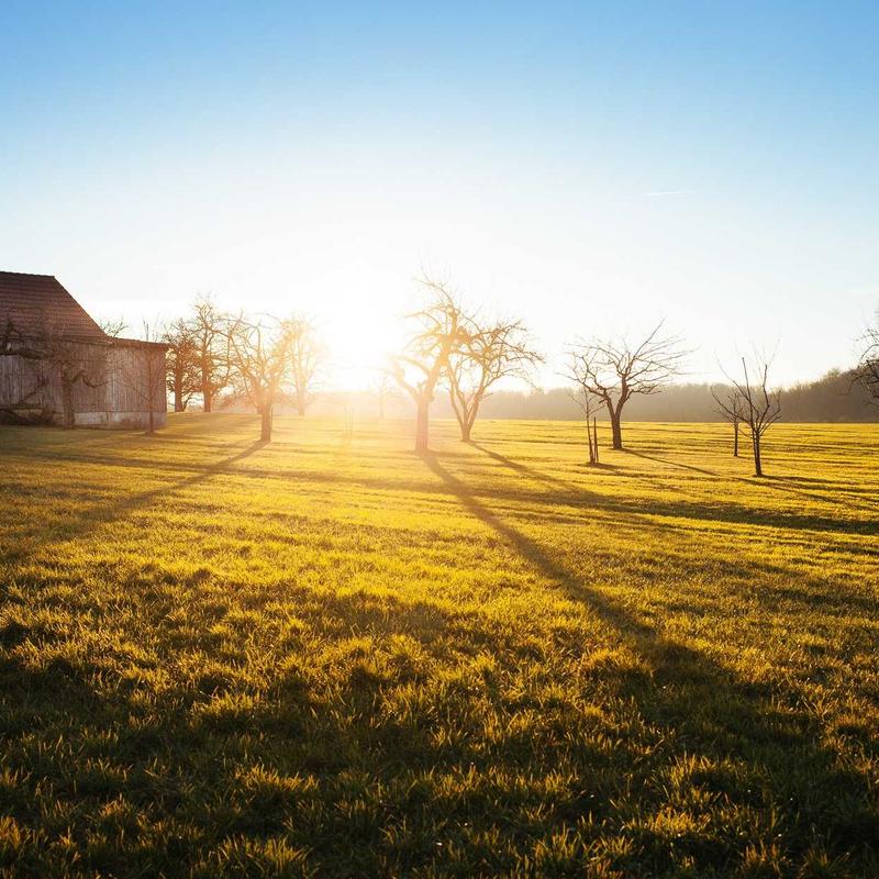 Mộc mạc Sách hướng dẫn du lịch