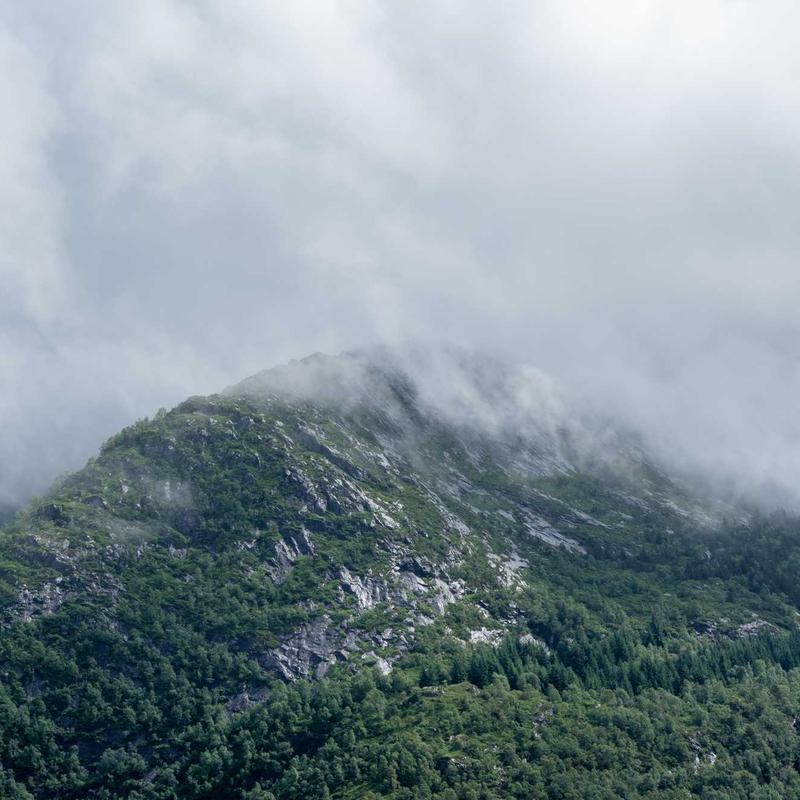 Cozy Comic Book Bundle