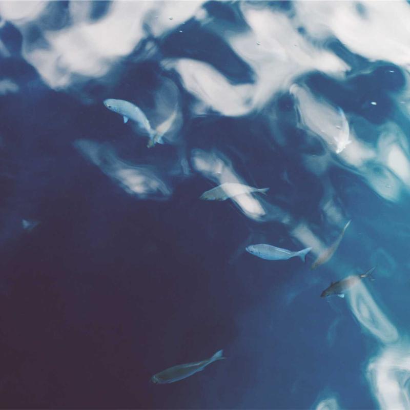 Gently Used Running Shoes